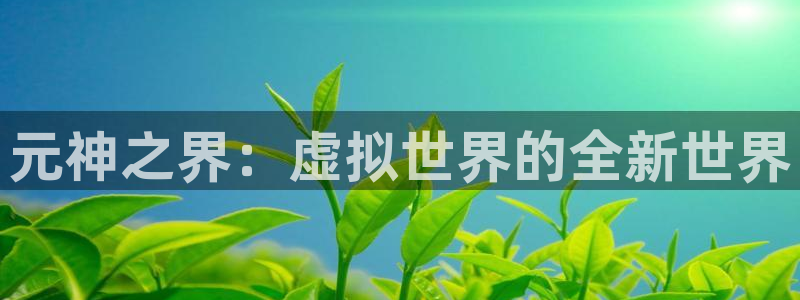 亿万28子经理人：元神之界：虚拟世界的全新世界