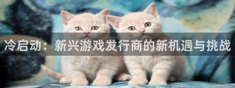 亿万28酒庄：冷启动：新兴游戏发行商的新机遇与挑战