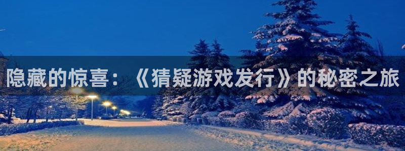 亿万28官网登录注册账号密码：隐藏的惊喜：《猜疑游戏发行》的秘密之旅