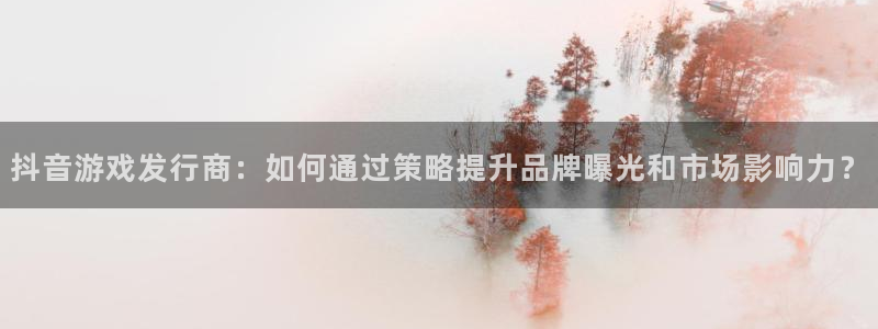 亿万28官网挂机项目怎么样：抖音游戏发行商：如何通过策略提升品牌曝光和市场影响力？