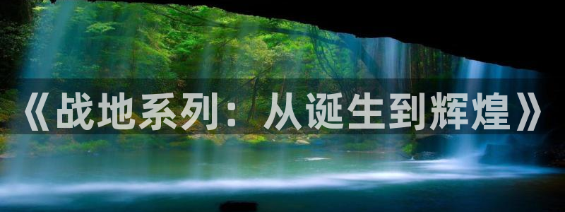亿万28子经理人读后感：《战地系列：从诞生到辉煌》