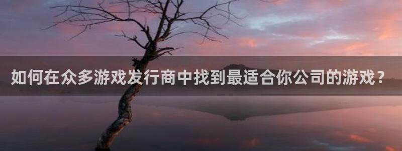 陕西亿万28子文化公司有什么游戏：如何在众多游戏发行商中找到最适合你公司的游戏？