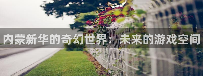 亿万28子书店：内蒙新华的奇幻世界：未来的游戏空间