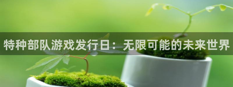亿万28集团：特种部队游戏发行日：无限可能的未来世界