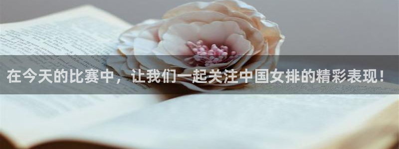 熊猫足球直播免费观看：在今天的比赛中，让我们一起关注中国女排的精彩表现！