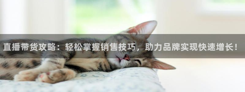 看直播熊猫：直播带货攻略：轻松掌握销售技巧，助力品牌实现快速增长！