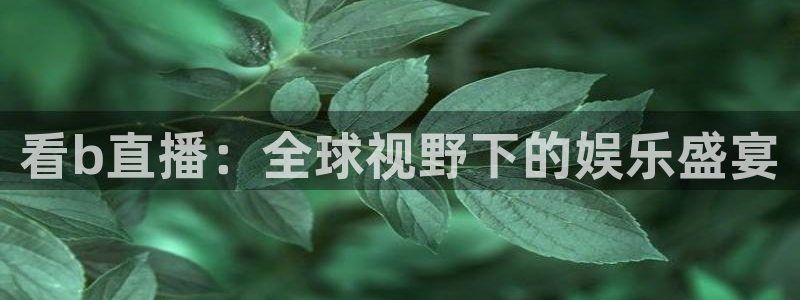 熊猫直播免费视频：看b直播：全球视野下的娱乐盛宴