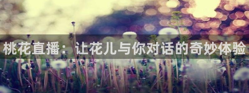 熊猫的：桃花直播：让花儿与你对话的奇妙体验