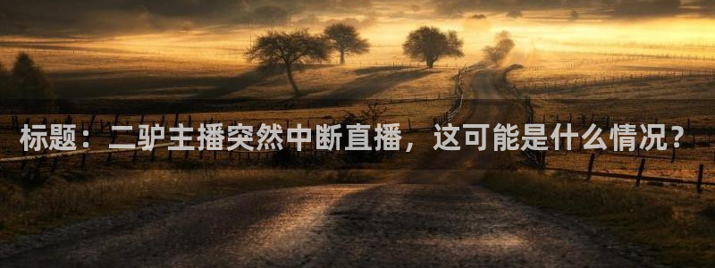 熊猫体育