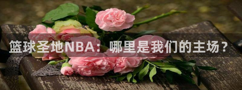 熊猫直播下载：篮球圣地NBA：哪里是我们的主场？